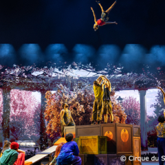 SHDW_Cirque-du-Soleil-Alize Planquine